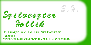 szilveszter hollik business card